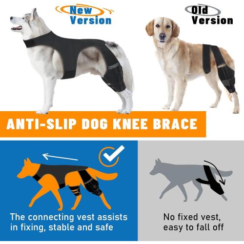 Dog Knee Brace for Hind Legs- Adjustable Dog Leg Brace for Both Back Leg Helps with Torn ACL, Luxating Patella, Ligament Injuries & Arthritis, L