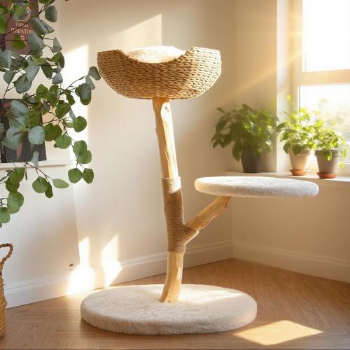 Modern Cat Tree, Natural Pear Wooden Cat Tower for Indoor Cats, Real Branch Luxury Cat Condo with Scratching Post & Hanging Toy Ball（35 Tall）
