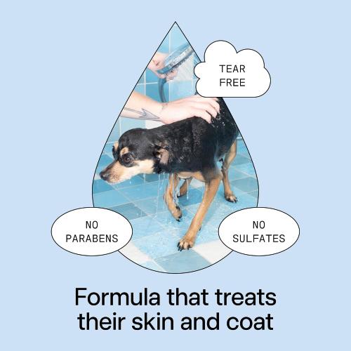DedCool Pet Shampoo | 01 Taunt | Gentle Cleanser for Dogs | Plant-Based Formula for Soft, Fresh Coats | Sulfate-Free, Dye-Free | Vegan | 16.9 fl oz