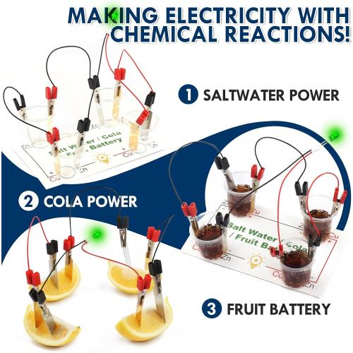 Science Circuit Kit Electricity for Kids, STEM Electrical Light Bulb Experiment, Electric Science Gifts Fair Project Kits Age 8-12, Fruit Energy Experiments Circuits Engineering Projects