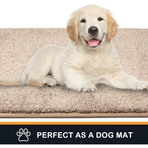 PURRUGS Dirt Trapping Door Mat 34 x 59, Non-Slip Machine Washable Entry Rug, Shoe Scraper, Dog Doormat, Super Absorbent Welcome Mat for Front & Back Door, Muddy Shoes & Paws, Taupe