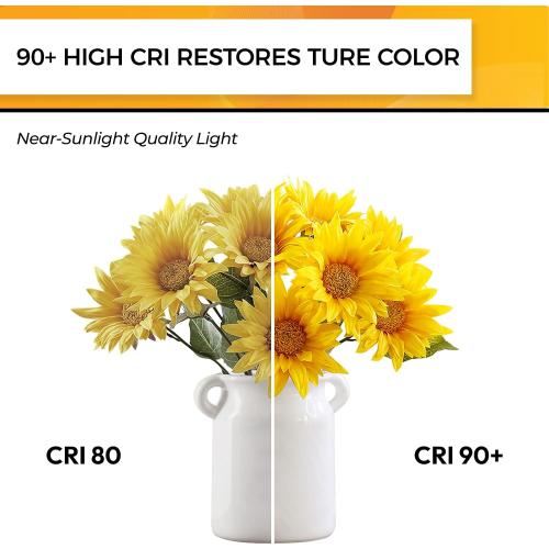 Hizashi 90 CRI Candelabra LED Light Bulbs 60 Watt, 2700K Warm White, E12 LED Bulb Dimmable, B11 Chandelier Light Bulbs, 6W, 550LM, Candle Light Bulbs, UL Listed, 12 Pack