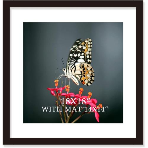 18x18 Frame Black With Mat 14x14 Solid Wood Picture Frames Wall Mounting (1 pack, 18x18 Inch)…