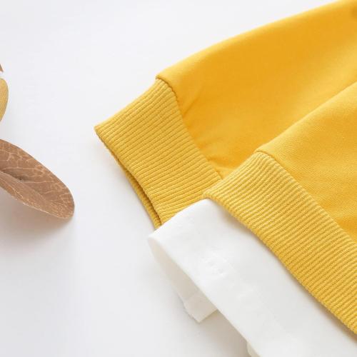 Toddler Size 80 Baby Girls Boys Clothes Sports Wear Bear Embroidery Sweatshirt Tops Pants 2PCS Tracksuit Outfits Clothes Set