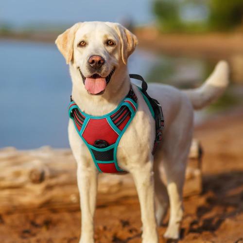 Size L rabbitgoo Dog Harness No Pull with 2 Leash Clips, Adjustable Soft Padded, Reflective Oxford No Choke Pet Vest with Easy Control Handle for Medium Sized Dogs, Red & Teal