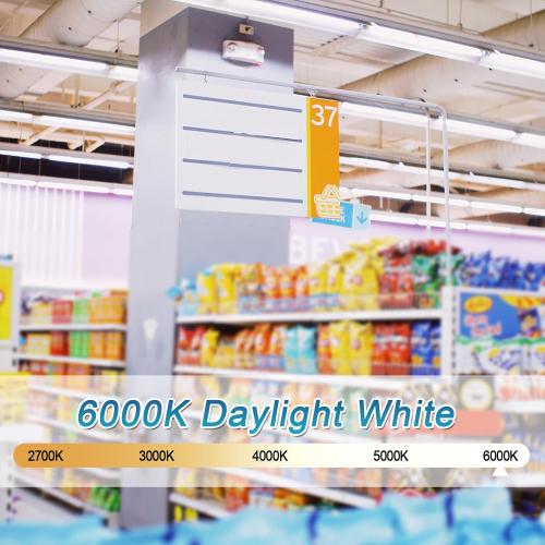 2 Pack T8 Type A B LED Tube Lights 4FT, 40W Equivalent, 6000K Daylight, Plug and Play or Ballast Bypass, Single or Double End LED Bulbs, LED Fluorescent Tube Replacement T8 T12, Non-dimmable