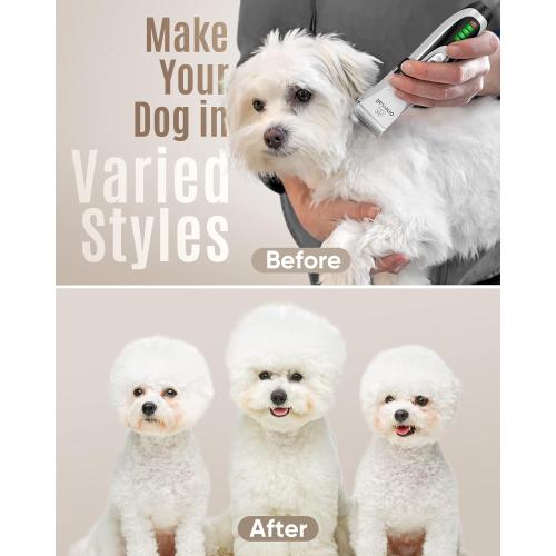 oneisall Dog Clippers Low Noise, 2-Speed Quiet Dog Grooming Kit Rechargeable Cordless Pet Hair Clipper Trimmer Shaver for Small and Large Dogs Cats Animals (Gold)