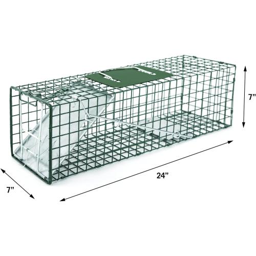 HOMESTEAD 2-Pack Live Animal Trap - Specialized for Raccoons, Opossums, Groundhogs, Skunks, Feral Cats, Squirrels - Heavy Duty Steel Traps, 1-Door, Green, Humane Catch & Release Animal Trap,89-302