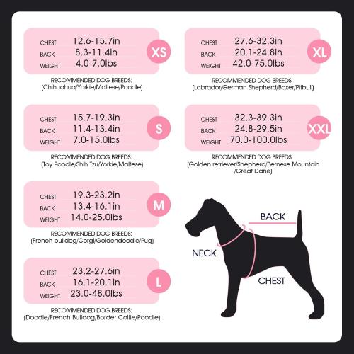 FUAMEY Surgery Suit for Dogs Female After Spayed, Soft Onesie for Surgery