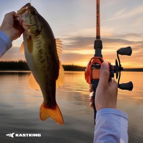 KastKing Lethal Blaze Twin-tip Fishing Rod and Reel Combo, Spinning & Baitcaster Combo, Flame Pattern Design, IM6 Graphite 2Pc Rod with Backup Tip Section, Stainless-Steel Guides, EVA Handle