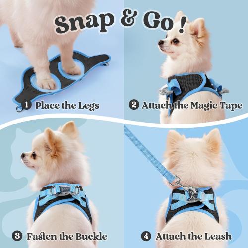 rabbitgoo Dog Harness Small Sized and Leash Set, Step in Soft Vest
