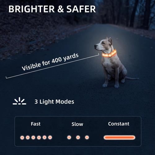 Super Bright LED Dog Collar, Waterproof Light up Collars(Orange, Large)