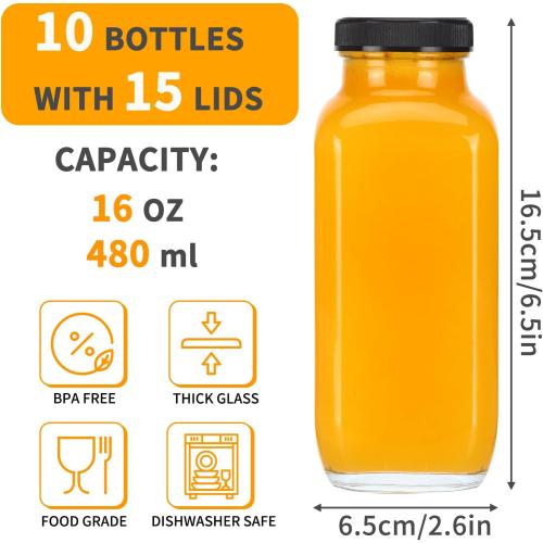 CUCUMI 10pcs 16oz Glass Juice Bottles with Lids, Reusable Juice Containers Drinking Jars Water Cups with Brush, Glass Straws, Lids with Hole | 10pcs