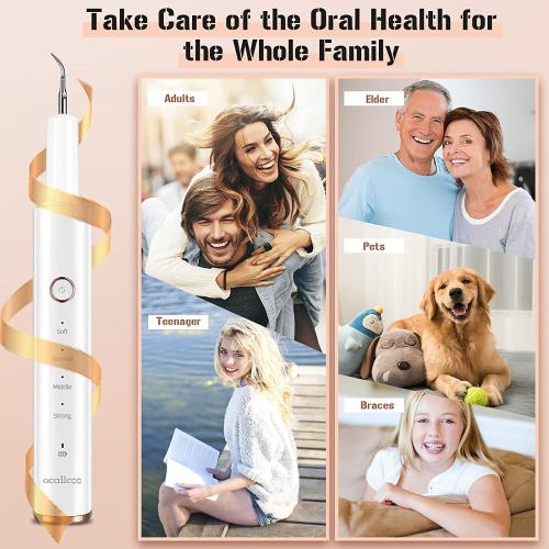 Plaque Remover for Teeth, Electric Tooth Cleaner Tartar Remover for Teeth with LED Light,4 Modes Rechargeable Teeth Cleaning Kit with Dental Tools, 2 Replaceable Heads (White A)