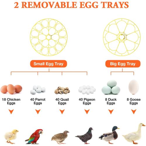 Egg Incubator for Hatching Eggs,Automatic Egg Turning and Humidity Control,Incubators for Chicken, Ducks, Goose, Pigeon, Quail, Parrot Incubator for Farm, Lab, Science Classroom, Home -18 Egg Capacity
