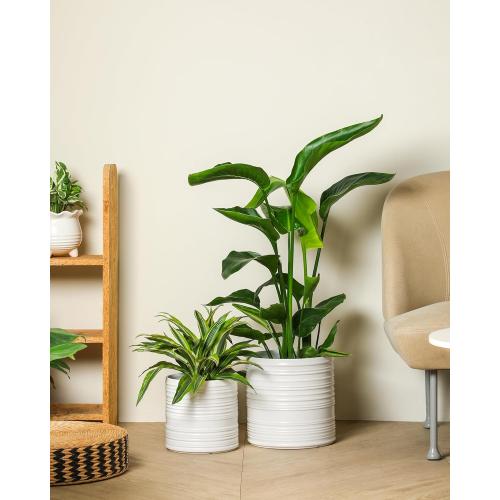 Fayoula Ceramic Planter, 10 8 6 Inch Plant Pots, Modern Striped Indoor/Outdoor Flower Pots for Succulents, Herbs, Home Office & Patio - Includes Mesh Pads & Saucer, Set of 3