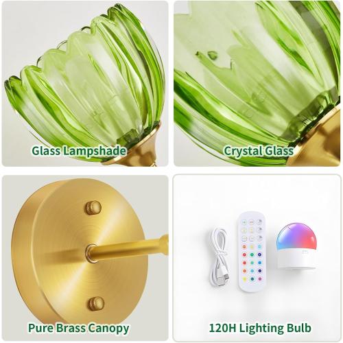 Battery Operated Wall Sconce Set of 2, Rechargeable Wireless Wall Sconce Lights with Glass Lampshade, 5000mAh Dimmable Bulbs with Remote,15 Colors Wireless Wall Lamps for Bedroom Living Room