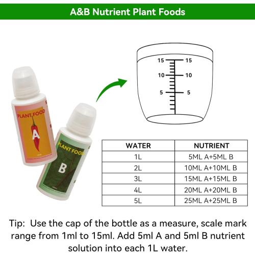 LYKO Lettuce Spinach Broccoli Seed Starter Kit for Hydroponics Growing System, Vegetable Pod Kits for Planting Indoor Garden 500  Seeds (Lettuce, Arugula, Green Chard, Broccoli, Spinach) - 3 Pods