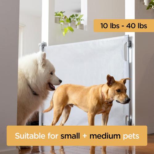 Hakuna Pets Indoor/Outdoor Paw Proof Retractable Dog Gate, 36.6 Tall Extends to 71 Wide, Gray