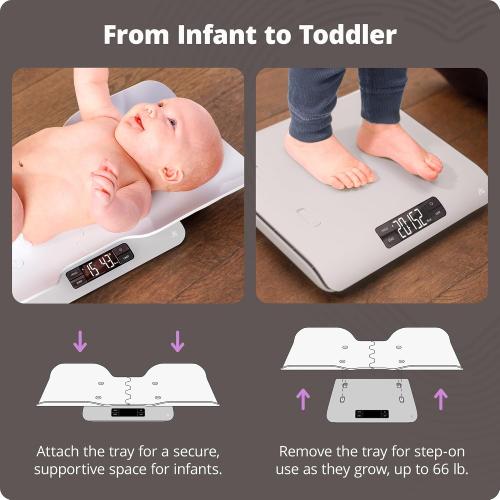 Greater Goods Digital Baby Scale for Infants & Toddlers, Non-Connected | Digital Newborn Scale with Removable Tray, 2-in-1 Design, Hold for Wiggly Babies, Quick Tare, 0.1oz Accuracy, 66lb Capacity