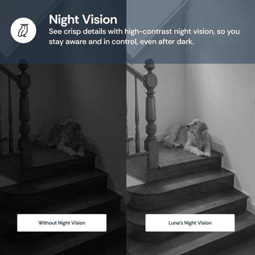 Luna Indoor Camera 360-Degree Pan/Tilt, Pet/Person/Vehicle AI Motion Detection, Plug-in, Night Vision, Two Way Audio, Cloud Storage, Wi-Fi Camera for Room Office Smart Home Security (White)