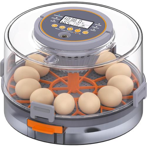 Egg Incubator with Automatic Egg Turning and Humidity Control, Intelligent Egg Incubator with Automatic Temp. Adjustment, 12 Egg Incubator