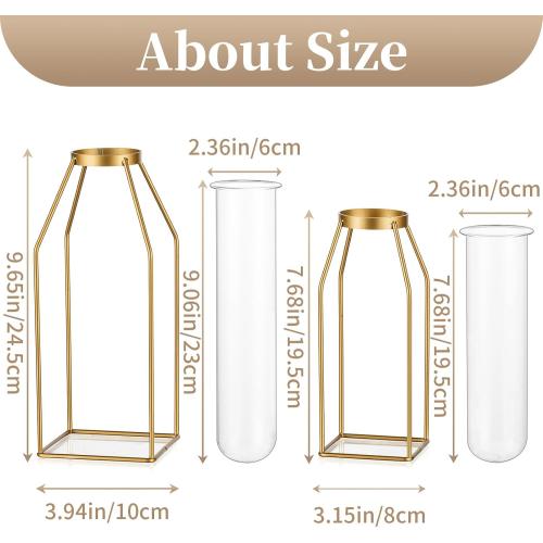 Sziqiqi Metal Flower Vase Table Decor - Gold Frame Vase with Glass Test Tubes 8/10 Modern Bud Vase for Coffee Table Living Room Abstract Geometric Art Vase for Rose Hydroponic Plant Pampas
