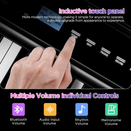 TERENCE Keyboard Piano 88 Keys V50 Digital Piano Weighted Dynamic Keyboard 30W Speakers Touch-Sensitive Control Panel Inbuilt Video and Audio Recording Feature Headphone and External Speaker Support