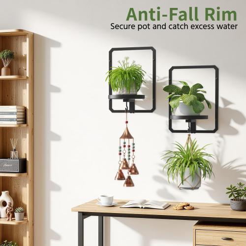 LASZOLA Plant Picture Frame Holder Shelf Wall Window Indoor, 2 Pcs Black