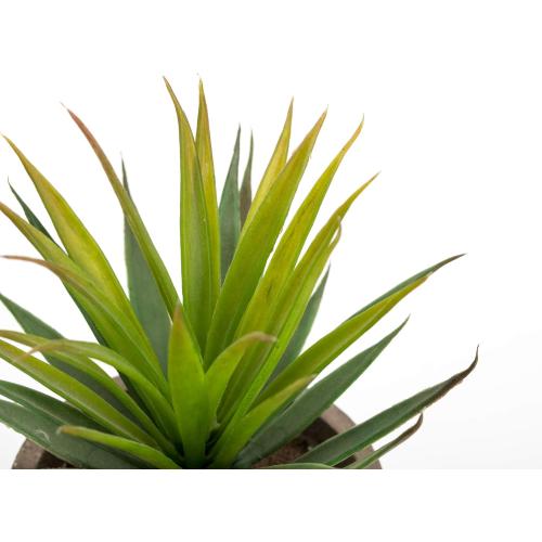 Velener Mini Home Decoration Aloe Vera Artificial Plants with Paper-Mache Pots (Set of 2), 7 inches and 5 inches, Faux Plants for Living Room, Kitchen, Bedroom, and Office Decor…