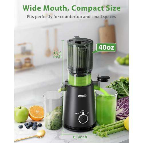 Juicer Machines - Wide Mouth Feed Chute with Self Feeding Hands-Free Design - Cold Press Juicer for Vegetables and Fruits - Juice Extractor Machine High Juice Yield - With Pusher