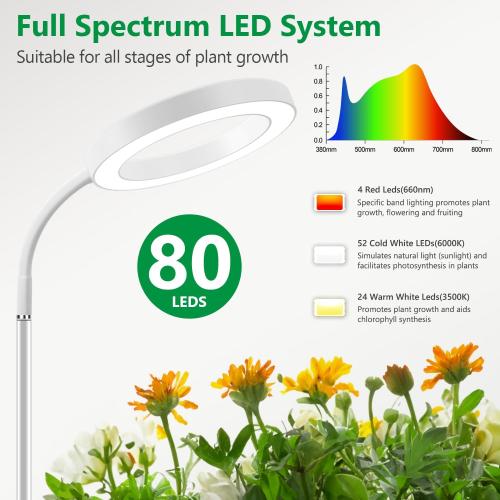 Aumtrly Floor Grow Light Full Spectrum with 68 Stand for Tall Indoor Plant | 80 LED Growing Lamp for Large Plants with 6/12/16H Timer, 5 Dimming, White Halo Design, Adjustable Height, Flexible Gooseneck