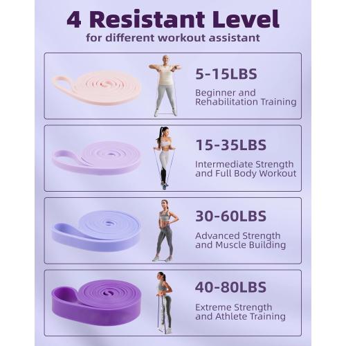 Resistance Bands Set - Pull Up Bands for Men Women, Exercise Bands Resistance with Door Anchor, Training Poster & Pouch for Body Stretching, Pull Up Assist