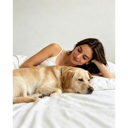 Zippered Queen Mattress Protector Waterproof Cover 60x80 Fits 6-9 inch Depth, Ptsuker Fully Encased Encasement Liquid Proof Urine Pee Protection