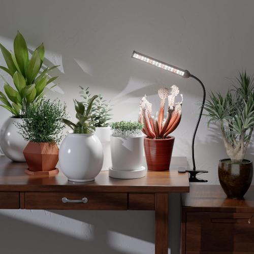 Color Black GooingTop Grow Light for Indoor Plants Growing,5000K White Full Spectrum Gooseneck Plant Lamp Clip-on Desk for Pot Plant Seed Starting,Dimmable with Auto Timer