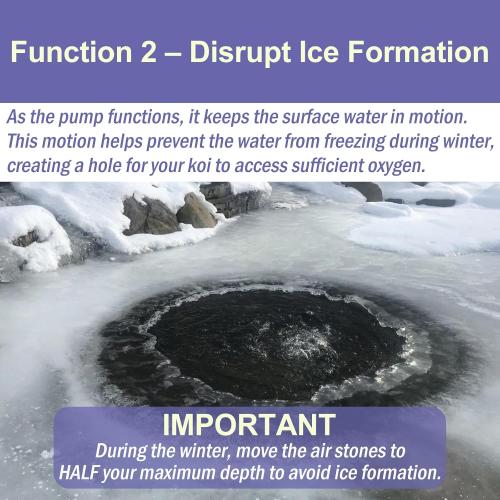 AquaMiracle Koi Pond Aerator for Pond up to 1000 & 2000 Gallons, All-in-One Pond Air Pump Aeration Kit with Air Stones Airline Tubing Check Valves