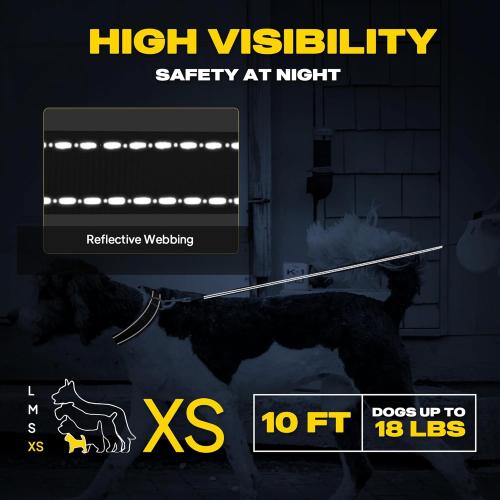 Fida Retractable Dog Leash X-Small Breed, 10 ft Durable Pet Walking Leash for Extra Small Dogs/Cats/Small Animals up to 18 lbs, 360° Tangle Free, Black