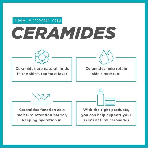 4oz Curel Japanese Skin Care Moisture Facial Milk Moisturizer, Daily Face Lotion for Dry Sensitive Skin, pH Balanced, Unscented Advanced Ceramide Care Face Cream without Drying Alcohols, 4 oz