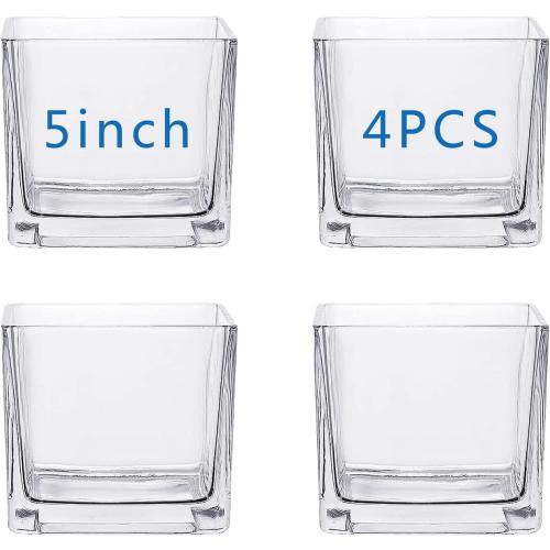 Square Glass Vases 5x5 Inch Clear Cube Flower Vase 4PCS for Wedding Centerpiece Candle Holder Home Decor Square Shape Flower Vase,Centerpieces