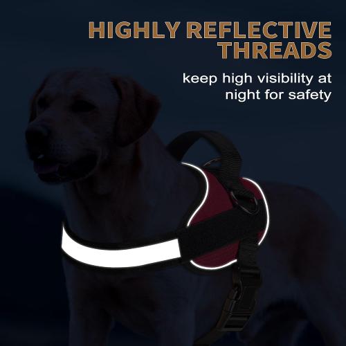 Haapaw Essential Dog Harness, No Pull Pet Vest with 3 Leash Clips, No Choke, Reflective, Adjustable and Padded, for Easy Walking and Training for Large Dogs(L, Red)