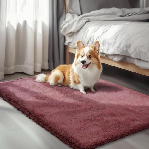 Rugs for Bedroom , Soft Area Rug for Living Room Dorm, Non Slip Shag Rugs for Girls Boys Bedroom, Soft Kids Carpet, Modern Home Decor Aesthetic(Blush)