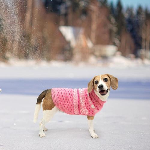 Size M SCENEREAL Dog Sweaters for Medium Sized Dogs - Soft, Warm Turtleneck Pullover Fall Winter Dog Clothes, Knitted Argyle Dog Christmas Outfits, Ugly Pet Clothing for Boy Girl Puppy