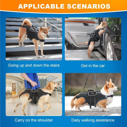 Size XL Color Black Full Body Dog Lift Harness with Handle & Adjustable Lifting Straps - Dog Carrier Sling for Joint Injuries, Arthritis, Paralysis - Up Stairs (XL)