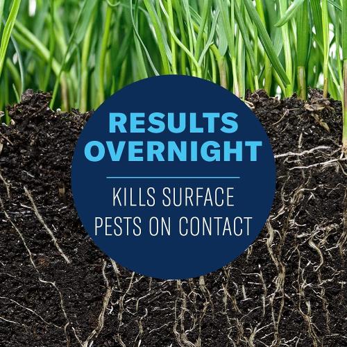 BioAdvanced 24-Hour Grub Plus for Lawns, Ant, Tick, Insect Killer Outdoor, 10-Pounds, Ready-to-Spread Granules, Standard Bag