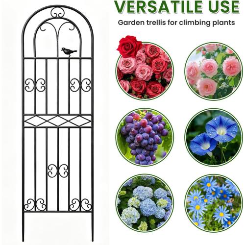 1 Pack 70.8x19.7 Metal Gardon Trellis for Climbing Plants Flowers Outdoor | Rustproof, Heavy Duty, Black Coating Gardon Trellis for Rose, Vines, Flowers, Perfect for Training Climbing Plants, Black