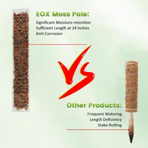 EOX Plastic Moss Pole for Monstera and Climbing Plants, 24-Inch, 4-Pack