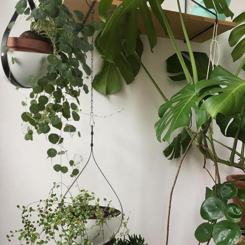 WHITE Hajia 2 Pack Waterdrop Shaped Hanging Planters, Black Iron Plant Hangers with Non-Detachable Pots, Modern Indoor/Outdoor Hanging Plant Holder