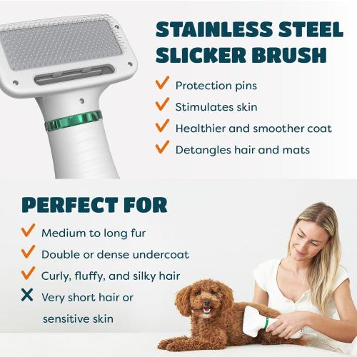2-in-1 Dog Hair Dryer with Slicker Brush for Small-Sized Dogs