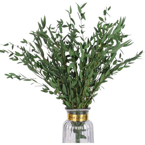 Real Eucalyptus Stems Greenery Decor 20PCS 17 Dried Willow Eucalyptus Plant Preserved Greenery Stems for Home Vase Filler Wedding Flowers Arrangement Spring Decorations