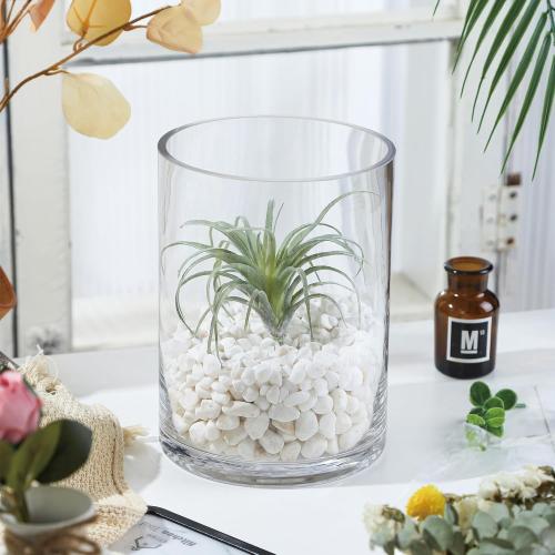 High Large Hand Blown Sturdy Clear Cylinder Glass Vase, Centerpiece Flower Vase for Rose, Tulip, Boquets, Hurricane Candle Holder